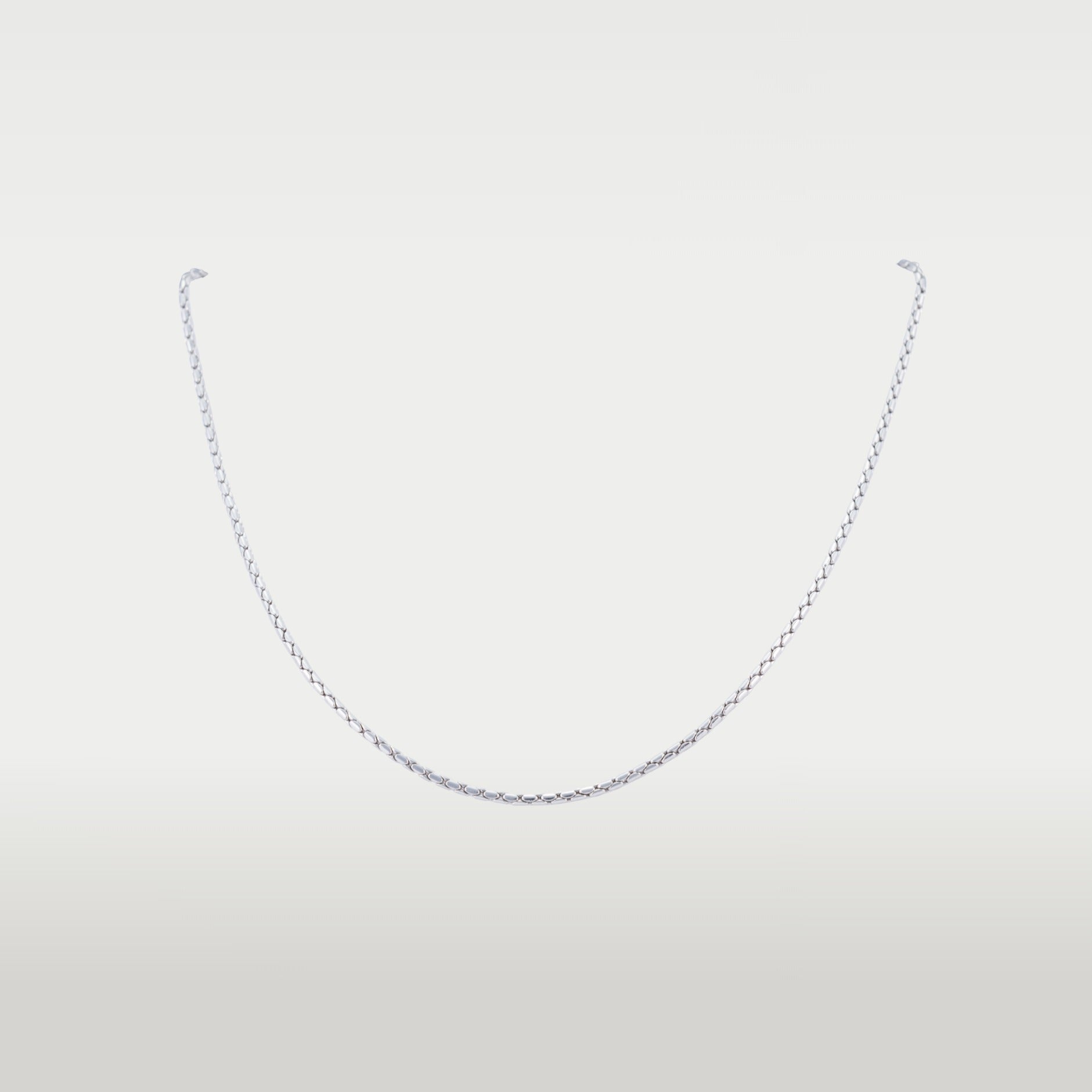 Chain/Silver image 0